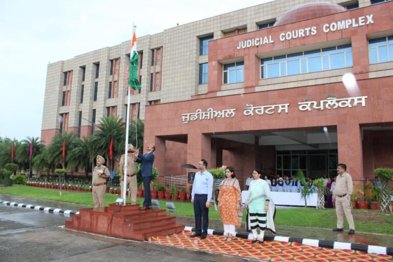 WhatsApp Image 2024-08-16 at 2.41.07 PM