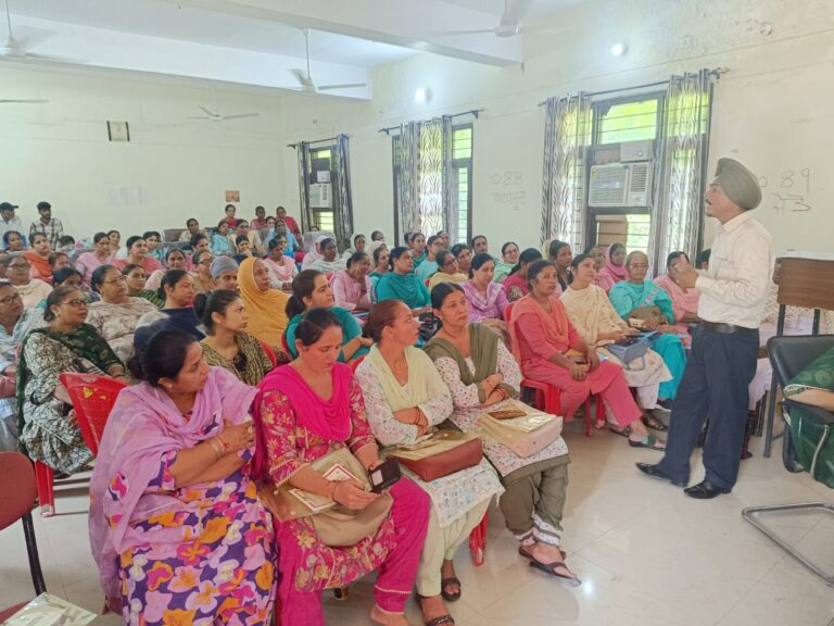 WhatsApp Image 2024-08-20 at 13.28.12