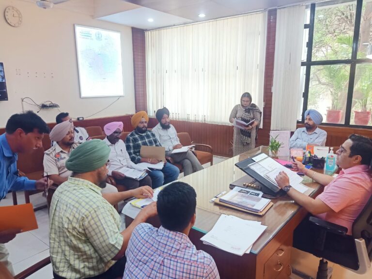 WhatsApp Image 2024-08-28 at 2.50.49 PM