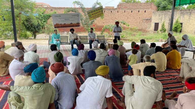 WhatsApp Image 2024-09-03 at 12.04.33 PM