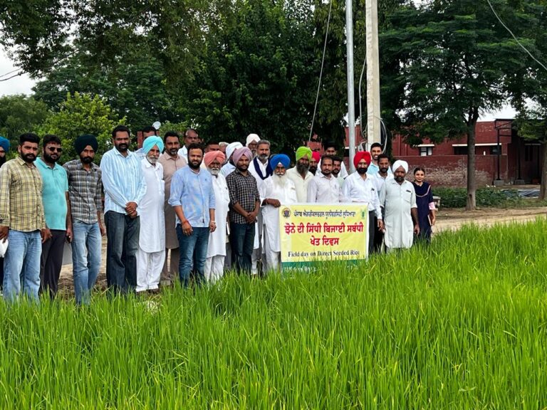 WhatsApp Image 2024-09-05 at 3.02.40 PM (2)