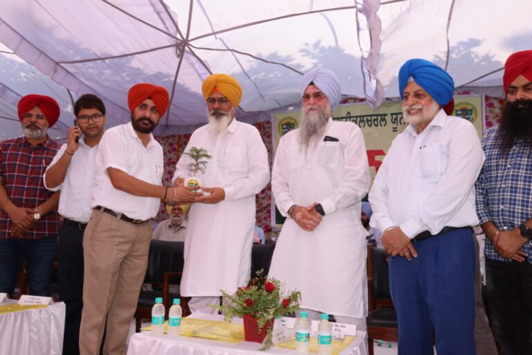 WhatsApp Image 2024-09-10 at 14.40.20 (1)