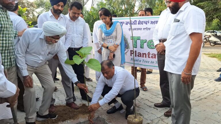 WhatsApp Image 2024-09-18 at 3.17.34 PM