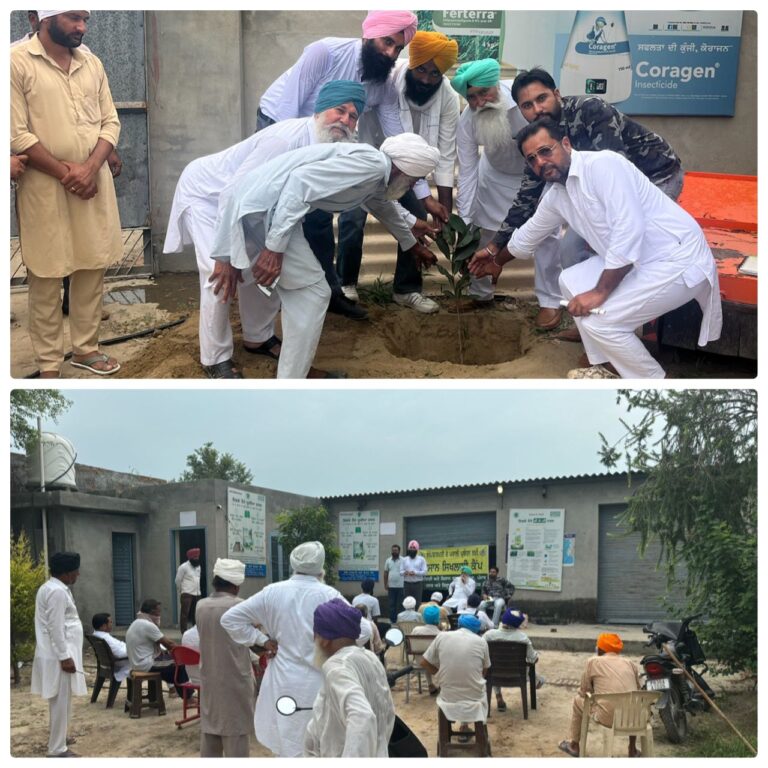 WhatsApp Image 2024-09-19 at 11.40.24 AM