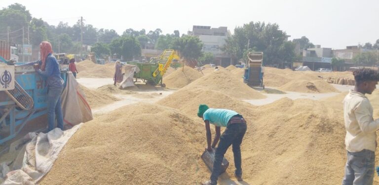 IMG-20241013-WA0010 (1)