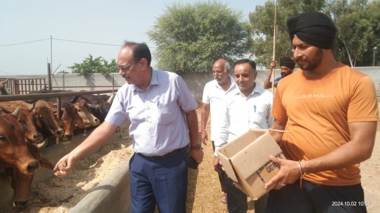 WhatsApp Image 2024-10-02 at 12.26.46 PM