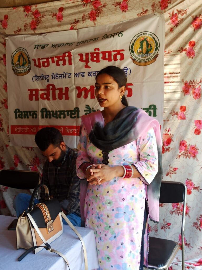 WhatsApp Image 2024-10-07 at 2.54.48 PM (1)