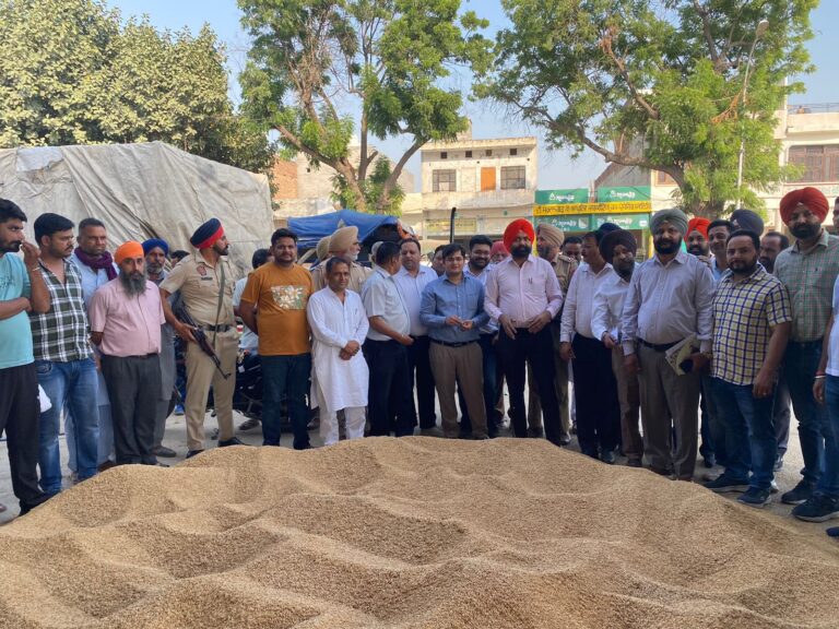 WhatsApp Image 2024-10-08 at 4.07.59 PM