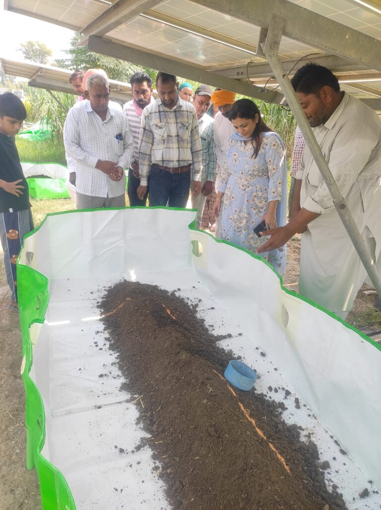 WhatsApp Image 2024-10-08 at 4.58.42 PM