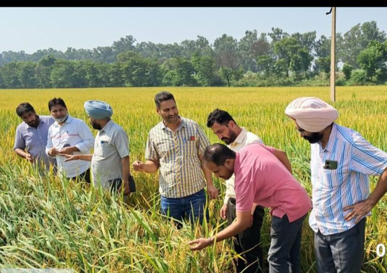 WhatsApp Image 2024-10-09 at 12.26.16 PM