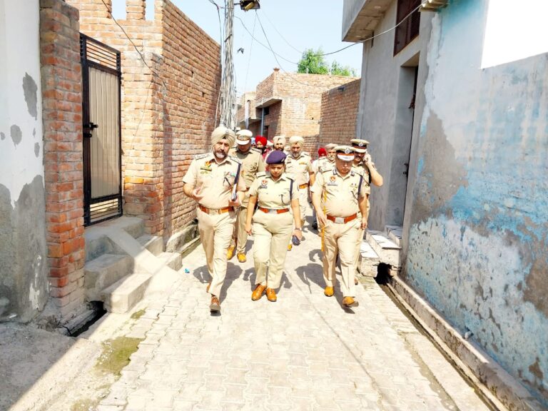 WhatsApp Image 2024-10-09 at 16.46.32 (1)