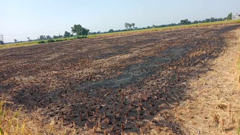 WhatsApp Image 2024-10-09 at 3.29.49 PM