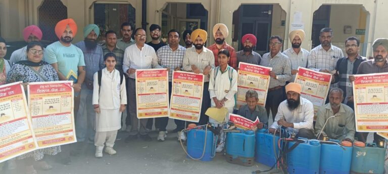 WhatsApp Image 2024-10-11 at 13.33.39