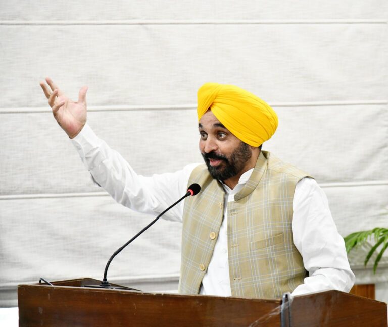 WhatsApp Image 2024-10-11 at 6.29.16 PM(1)