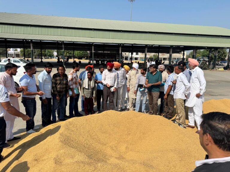 WhatsApp Image 2024-10-12 at 4.57.32 PM