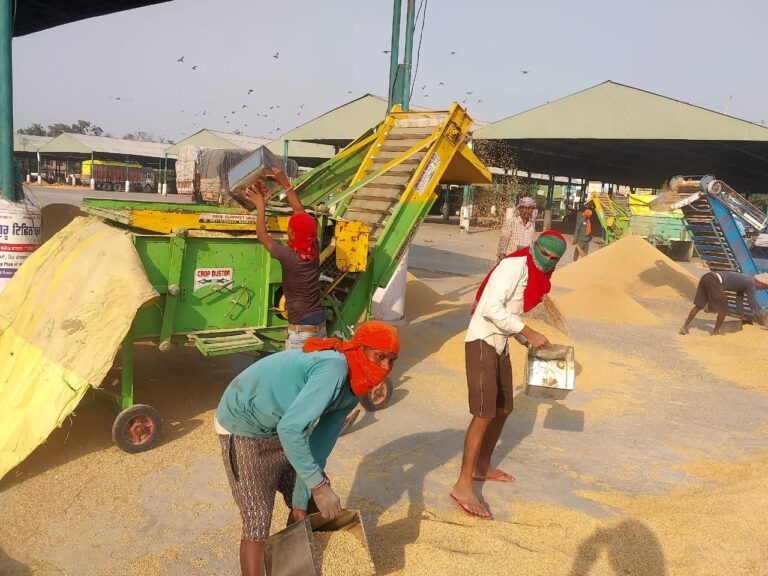 WhatsApp Image 2024-10-13 at 4.02.51 PM