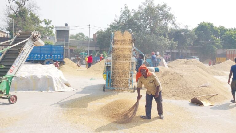 WhatsApp Image 2024-10-14 at 13.41.17