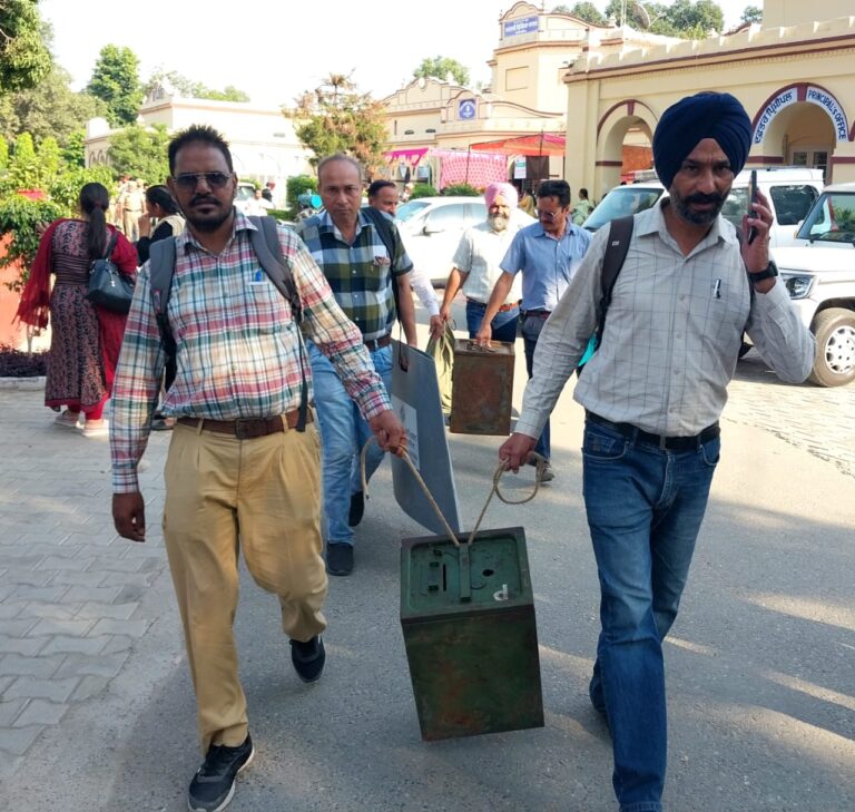 WhatsApp Image 2024-10-14 at 16.08.34