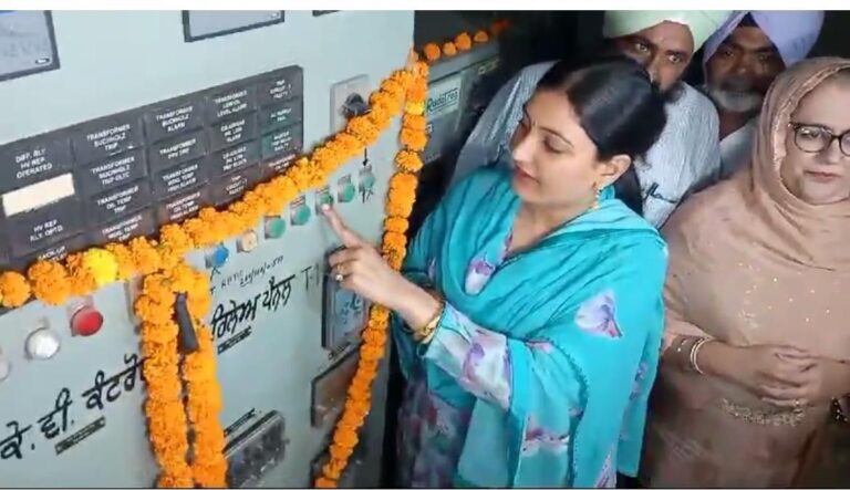 WhatsApp Image 2024-10-14 at 6.00.24 PM