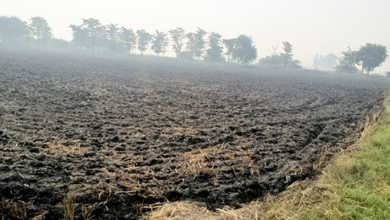 WhatsApp Image 2024-10-17 at 4.39.30 PM