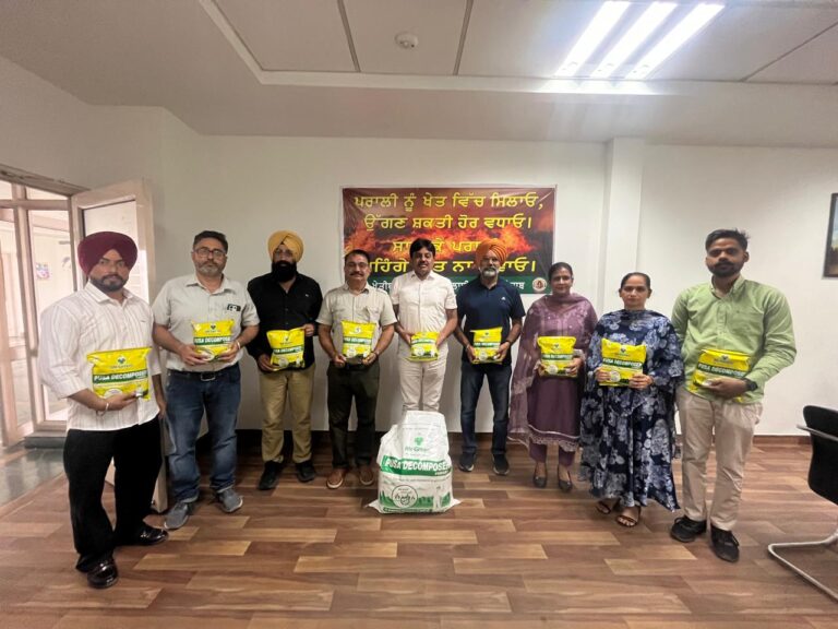 WhatsApp Image 2024-10-18 at 4.15.54 PM (1)