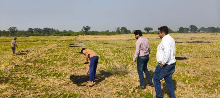 f2cadbea-bc0b-49c7-b438-dc7f973e590f