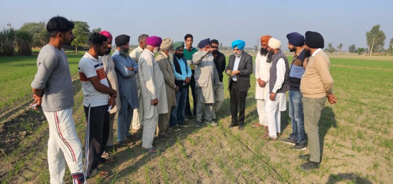 IMG-20241127-WA0008 (1)