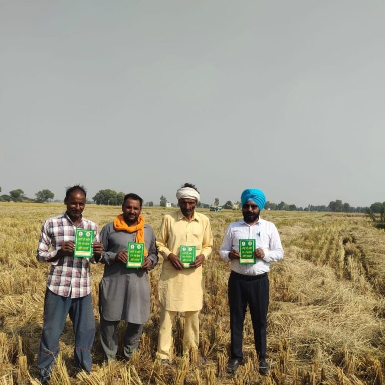 WhatsApp Image 2024-11-02 at 2.16.14 PM