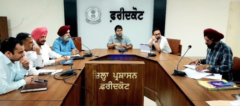 WhatsApp Image 2024-11-05 at 15.44.03