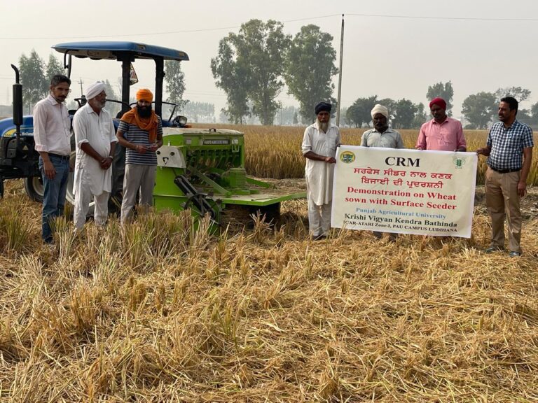 WhatsApp Image 2024-11-06 at 15.02.16 (1)