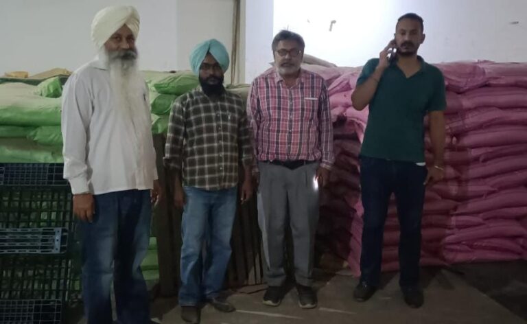 WhatsApp Image 2024-11-06 at 16.28.21