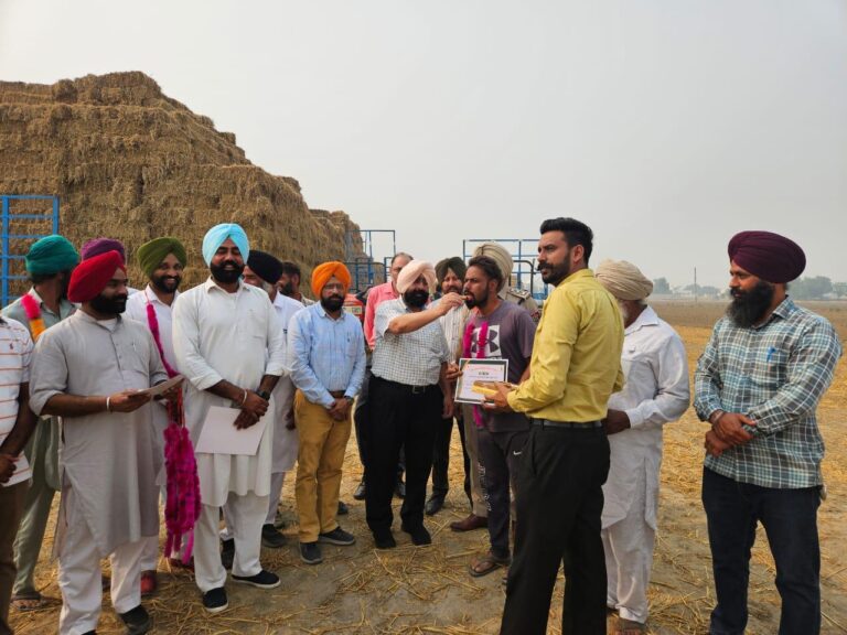 WhatsApp Image 2024-11-06 at 2.49.21 PM