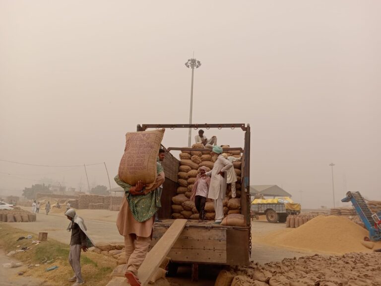 WhatsApp Image 2024-11-07 at 13.33.43