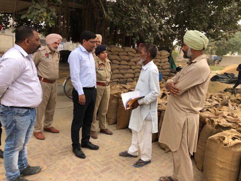 WhatsApp Image 2024-11-08 at 14.45.11