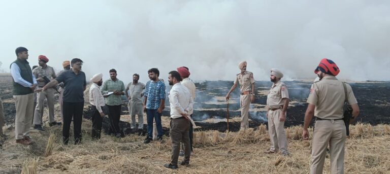 WhatsApp Image 2024-11-09 at 4.20.12 PM