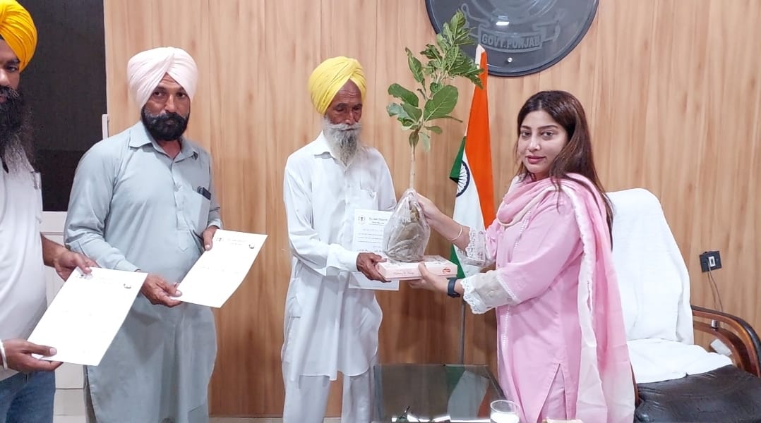 WhatsApp Image 2024-11-11 at 11.37.09 AM