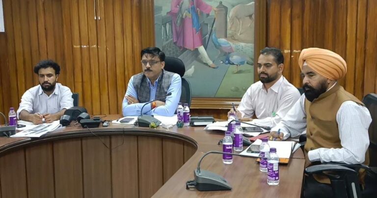 WhatsApp Image 2024-11-13 at 3.05.56 PM