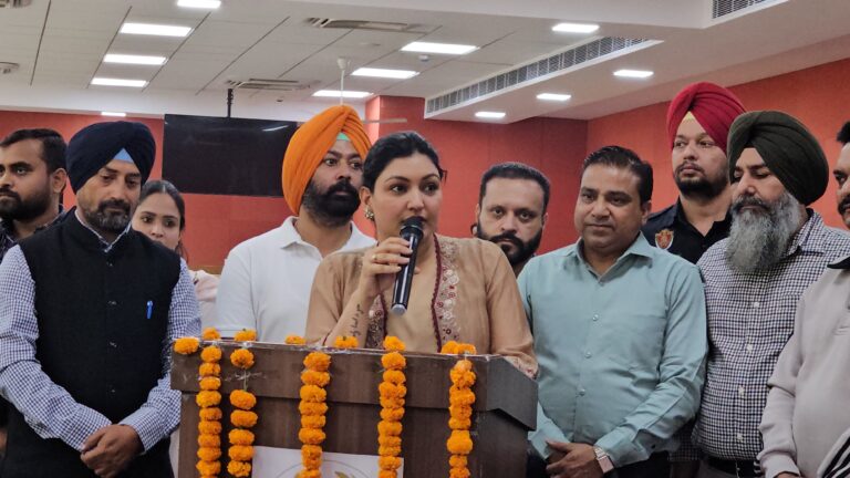 WhatsApp Image 2024-11-13 at 4.14.31 PM (3)