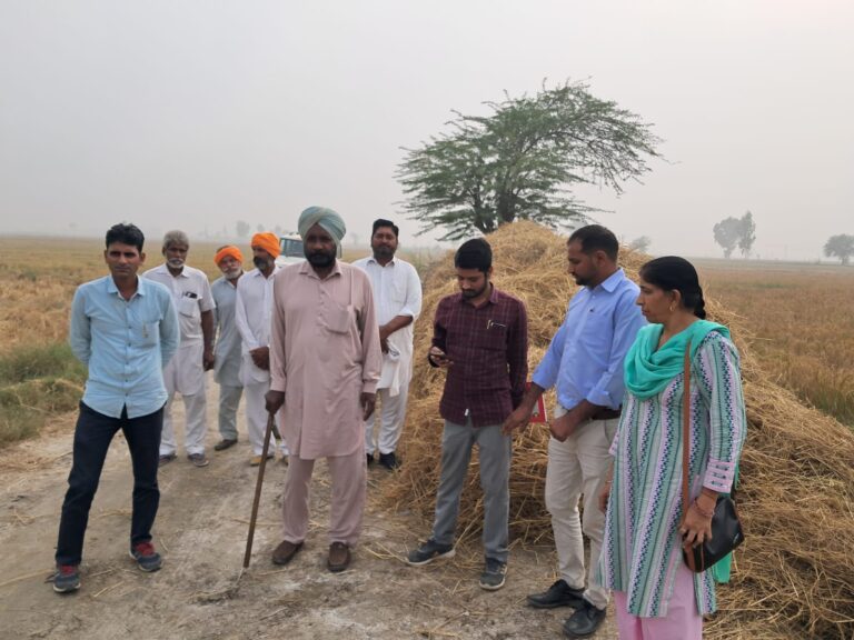 WhatsApp Image 2024-11-14 at 12.57.40 PM