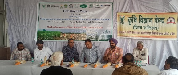 WhatsApp Image 2024-11-14 at 3.16.03 PM