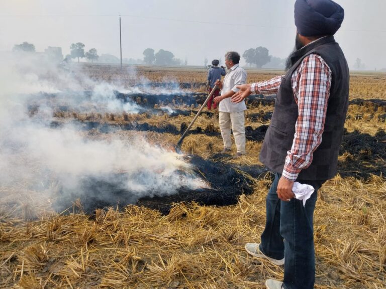 WhatsApp Image 2024-11-16 at 2.57.38 AM