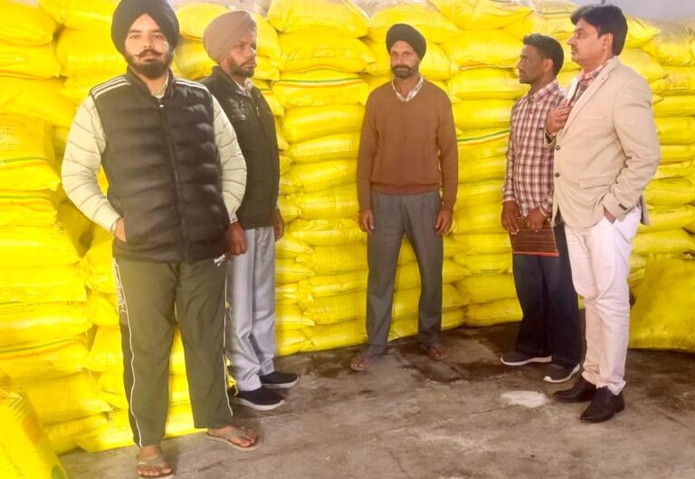 WhatsApp Image 2024-11-18 at 4.35.08 PM