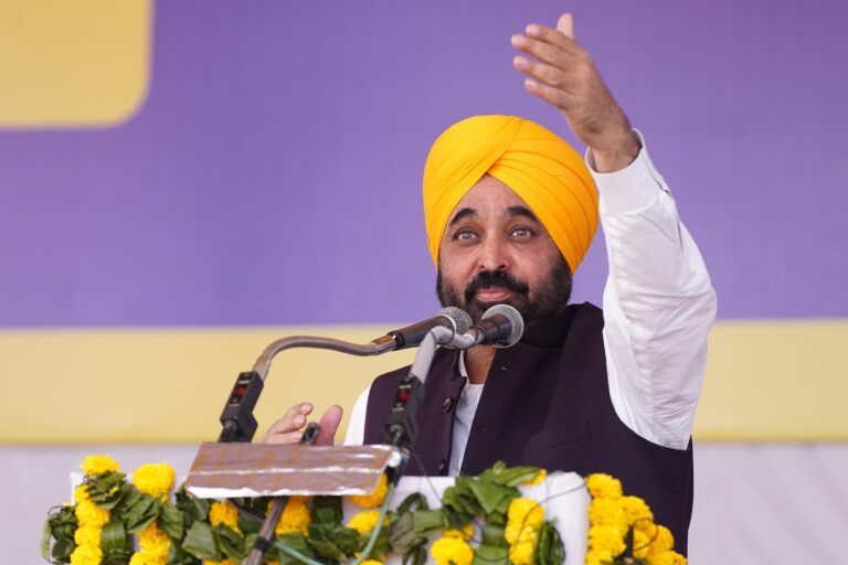 WhatsApp Image 2024-11-19 at 2.54.56 PM