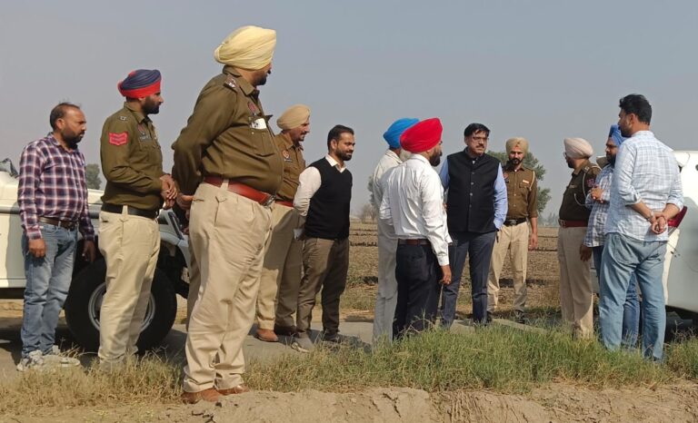 WhatsApp Image 2024-11-20 at 11.55.14 AM