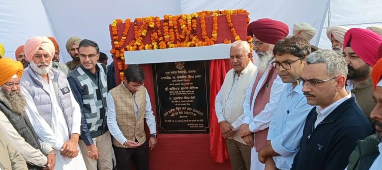 WhatsApp Image 2024-11-29 at 16.36.07