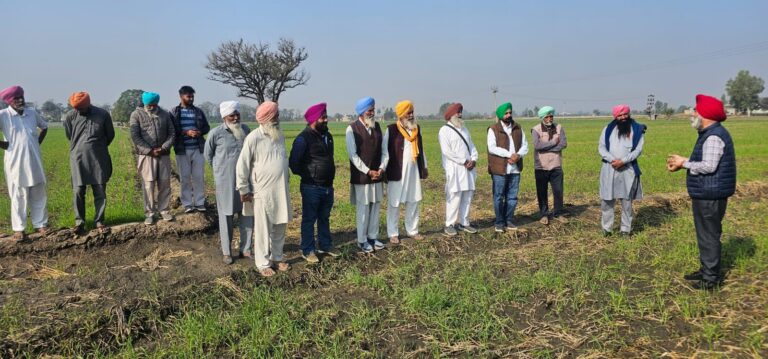 WhatsApp Image 2024-12-02 at 16.11.11