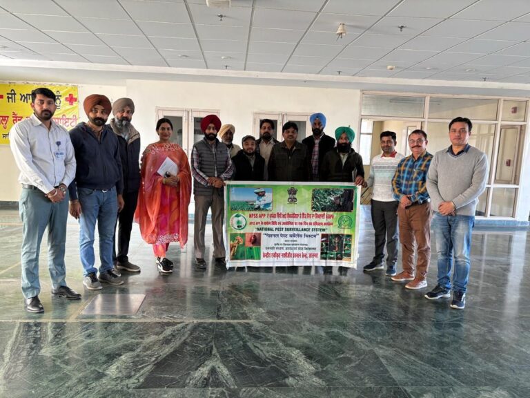 WhatsApp Image 2024-12-04 at 3.57.37 PM (1)
