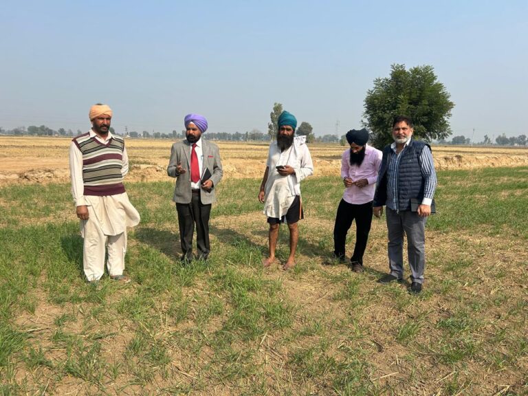 WhatsApp Image 2024-12-09 at 1.21.50 PM