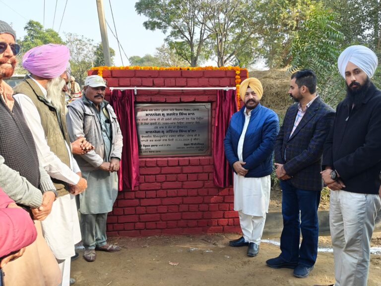 WhatsApp Image 2024-12-11 at 14.48.55