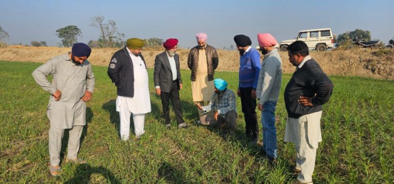 WhatsApp Image 2024-12-17 at 16.09.35 (1)